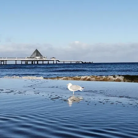 Meeressterne Schlossappartements Apart-hotel