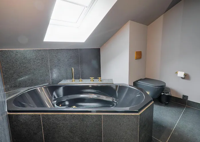 Meeressterne Schlossappartements 4* Херингсдорф